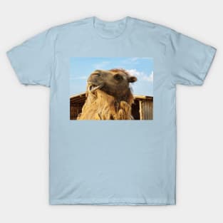 Portrait of Bactrian Camel T-Shirt